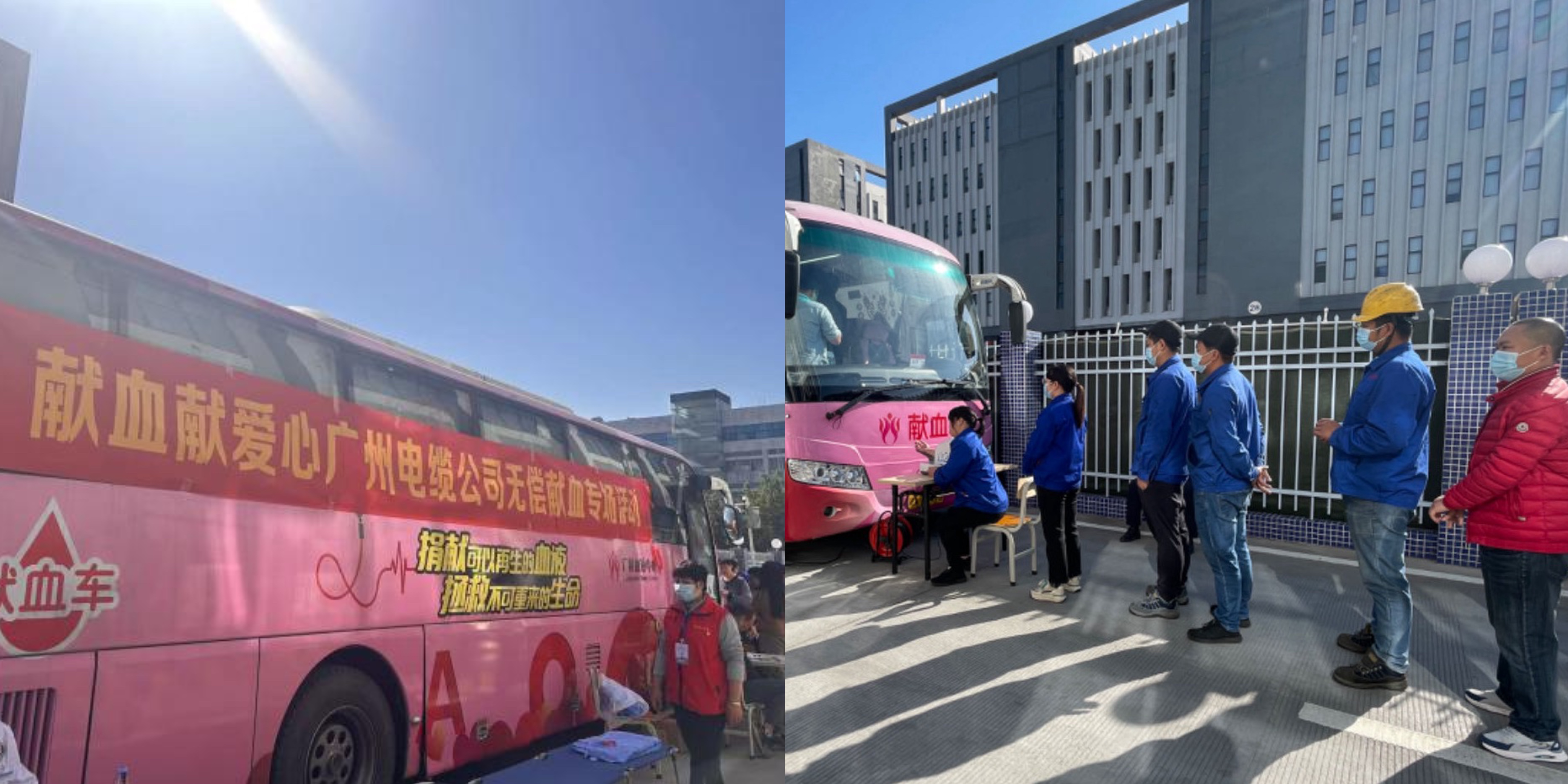 傳輸正能量|廣州電纜開展無償獻(xiàn)血專場活動(dòng)