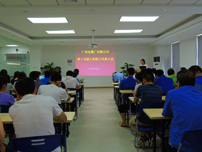 公司第十五屆八次職代會(huì)順利召開