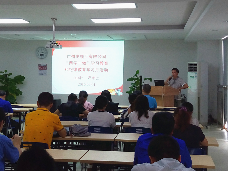 公司開展2016年紀(jì)律教育學(xué)習(xí)月活動(dòng)