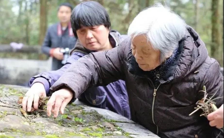 【學黨史】建黨百年，聽習近平講黨史故事