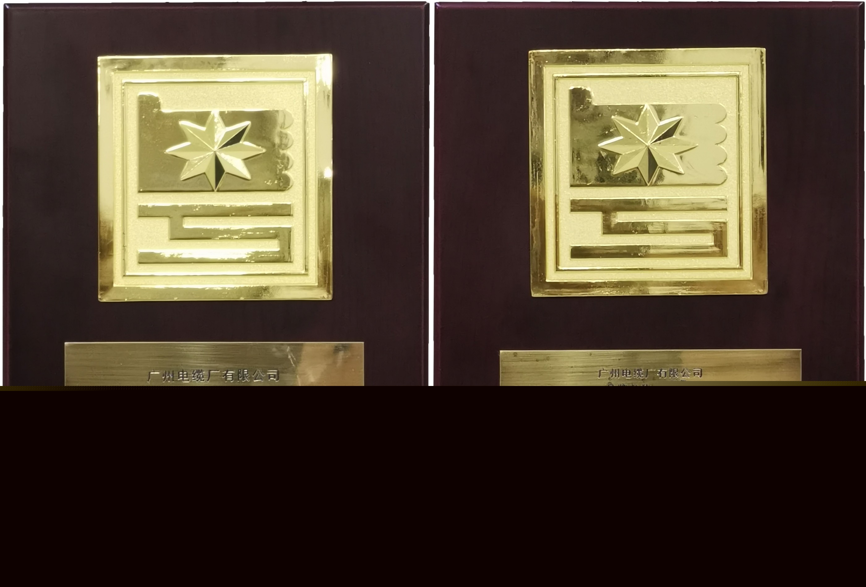 廣州電纜接受廣東省市場(chǎng)質(zhì)量信用AAA級(jí)用戶(hù)滿(mǎn)意企業(yè)和品牌榮譽(yù)獎(jiǎng)牌