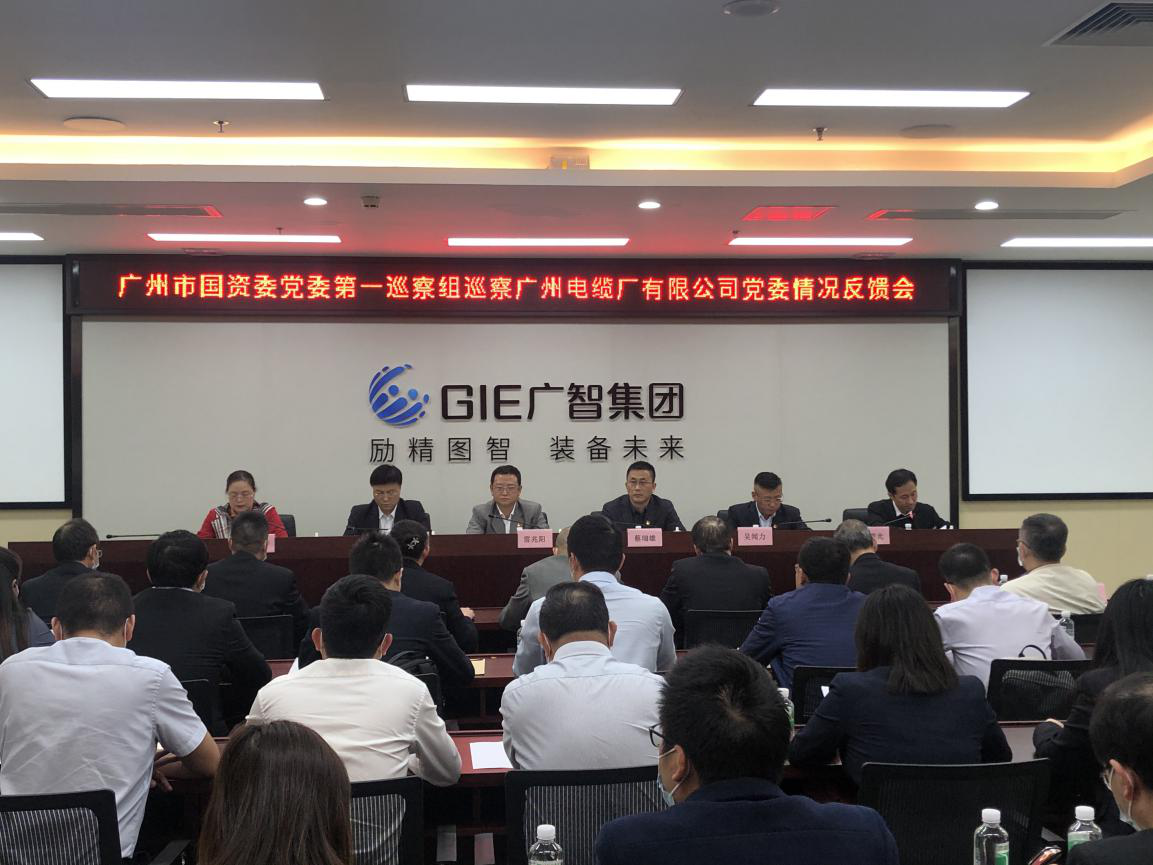 廣州市國資委黨委第一巡察組向廣州電纜廠有限公司黨委反饋巡察情況